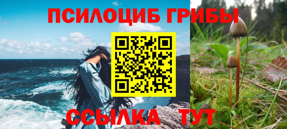 Псилоцибиновые грибы Psilocybe  Вход с VPN  Вольск  Галлюциногенные грибы мицелий 