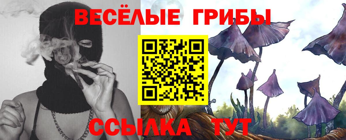 Псилоцибиновые грибы Cubensis Вольск